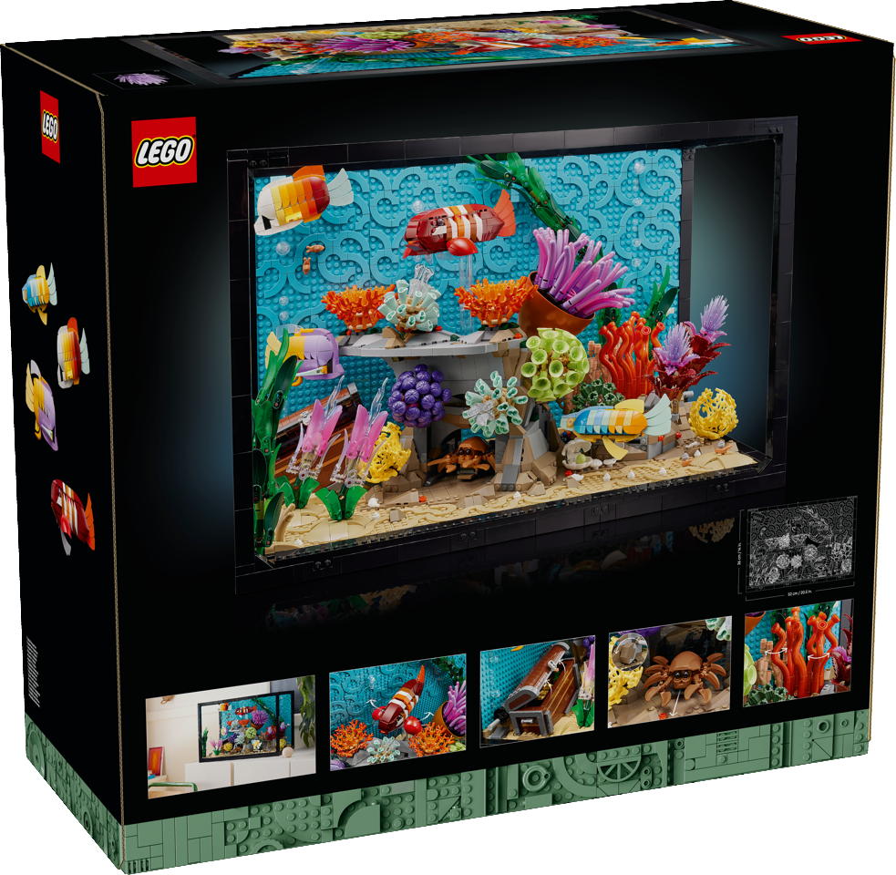 10366 Box5 v29
