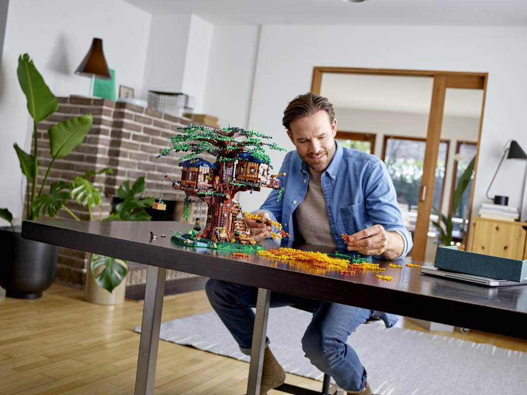 21318 LEGO IDEAS 2HY19 cons